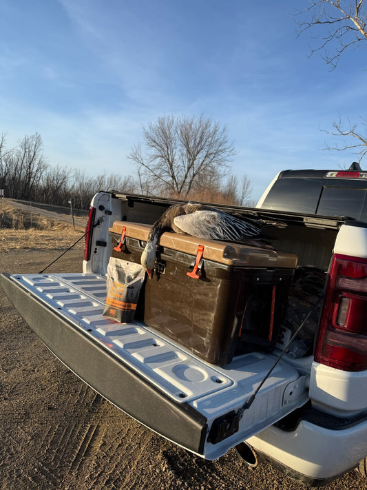 How to Preserve a Goose for Mounting (The Right Way)