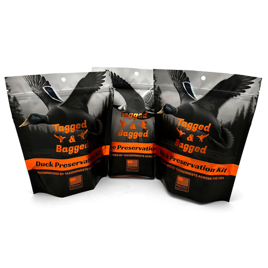 2 duck & 1 large bird preservation kits